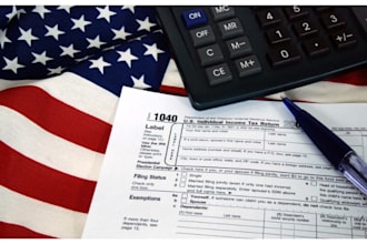 provide dutch tax US tax filing, US tax returns, corporation tax