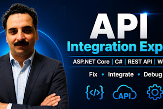 do API integration and fix rest API in asp net core c sharp