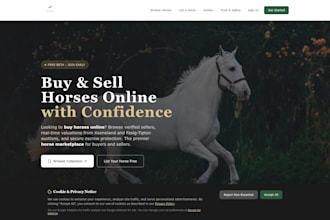 provide hosting support and ongoing wordpress website maintenance
