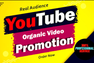 enhance your youtube video with organic promotion