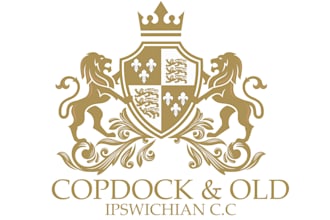 provide an awesome coat of arms family crest logo design