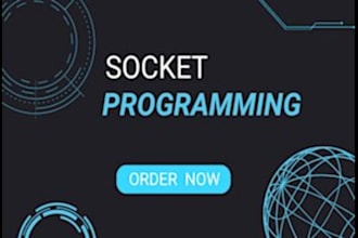 do python, c, cpp, java socket programming expert for network applications