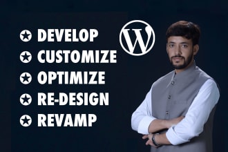 provide expert wordpress website development, design, and redesign services