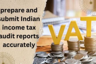 prepare and submit indian income tax audit reports accurately