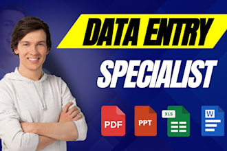 do excel data entry, data enrichment, mining, and web scraping