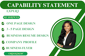 design government capability statement, company profile, government resume