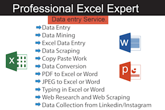 accurate data entry, file conversion, and virtual assistant service