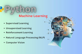 do machine learning and data science projects