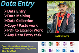 do ms excel data entry, data analysis, and dynamic visualization