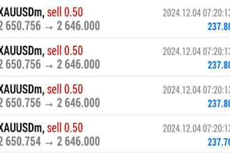 deliver trading robot, forex trading bot, forex bot, trading bot