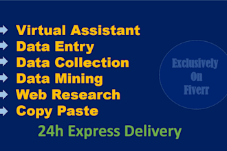 data entry, mining, scrapping, especially real estate sector