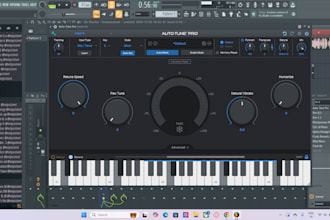 professionally mix master your song in cheap price