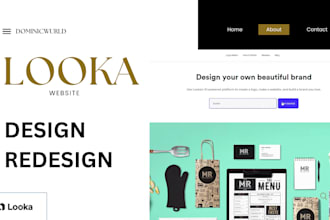 design looka website redesign webflow framer looka website