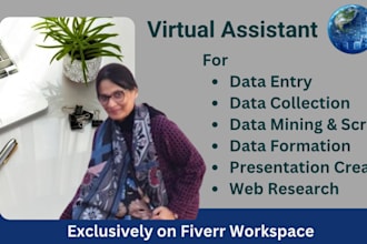 do data entry, clean up, format, create ppt, video and logo