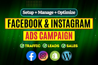 create and manage shopify facebook ads, instagram ads, and fb marketing campaign