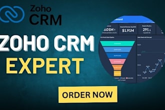 set up zoho campaigns, forms, and be your zoho expert