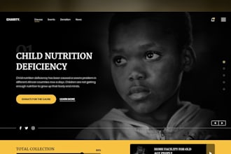 build your non profit website, ngo website, charity website, fundraising website