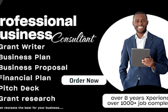 write investor ready business plan for startup, loan approval