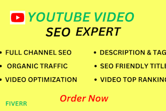 be the best youtube video SEO expert and channel growth