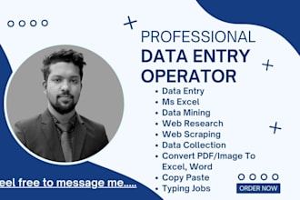 do data entry typing job, pdf to ms excel, copy paste, google sheets