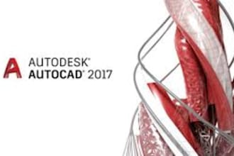 draw electrical plan layout and lighting design in autocad,revit and dialux evo