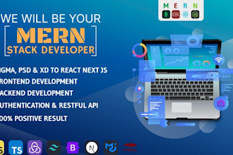 expert mern stack developer for your web application