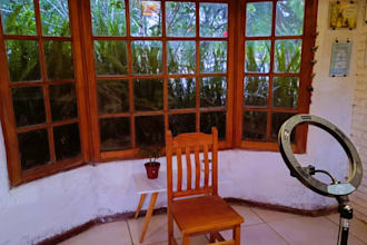provide distance reiki healing with post session voice insight