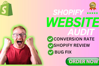 audit shopify website review your shopify store