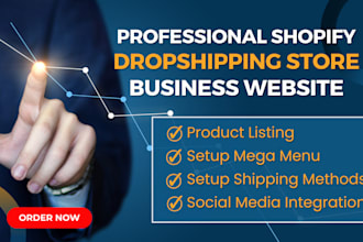 build a professional shopify dropshipping store, clone shopify website