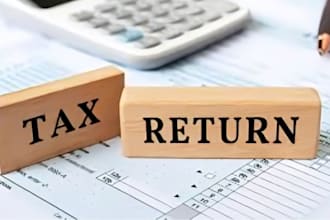 do bookkeeping, payroll, tax, audits, financial analysis, and statement