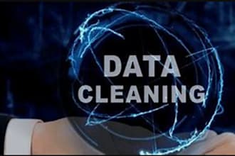 clean, organize, and merge your excel or CSV data
