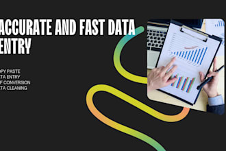 do fastest and accurate data entry in one day