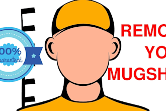 permanent remove negative links, article, mugshots,cases on google search