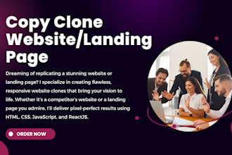 copy, clone, duplicate website or landing page
