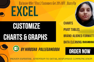 create professional excel charts, graphs, pivot tables and dash board