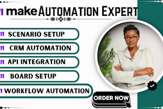 setup make com automation, make com, api integration, clay, makecom scenario