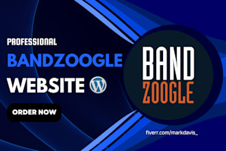 bandzoogle website, bandzoogle store, redesign bandzoogle