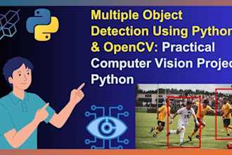 do computer vision, neural network, ai machine learning, yolo image classi