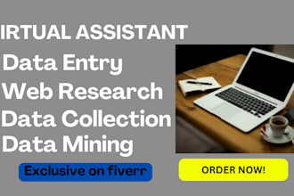 do data entry typing work job, excel data entry, data entry and web research