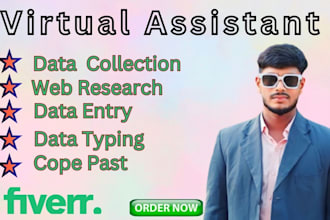 be your virtual  assistant for data colletion  data entry  web recharge