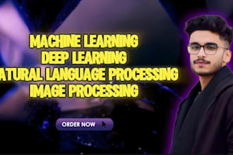 do ai machine learning  deep learning  nlp yolo image processing projects
