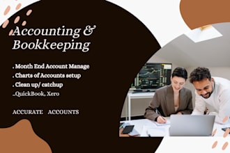 manage the accounts on accounting software