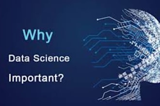offer deep learning, data science, neural networks , machine learning services