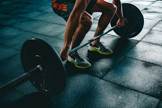 create an afforable muscle gain training program
