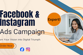 set up facebook and ig ads campaign with targeted audiences