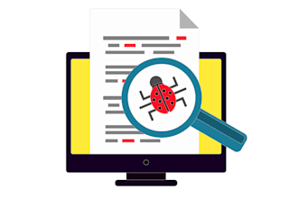 test your software and provide bug reports with solutions