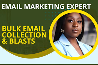 do bulk email blast, email list, niche targeted email campaign
