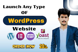 launch, refine, SEO optimize your wordpress website