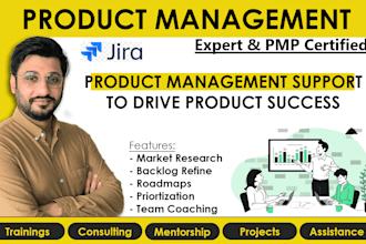 provide expert product management support, roadmaps and strategy