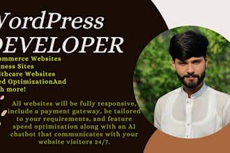 professional wordpress website design and ecommerce website